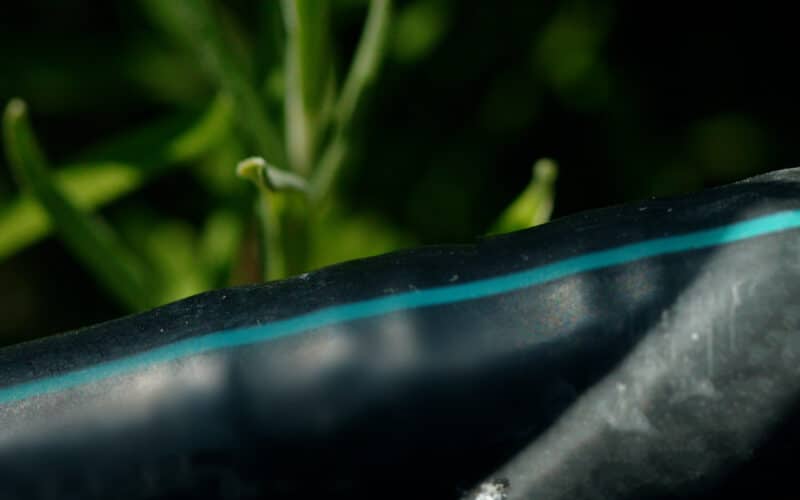Close-up of a black drip irrigation emitter releasing a water droplet