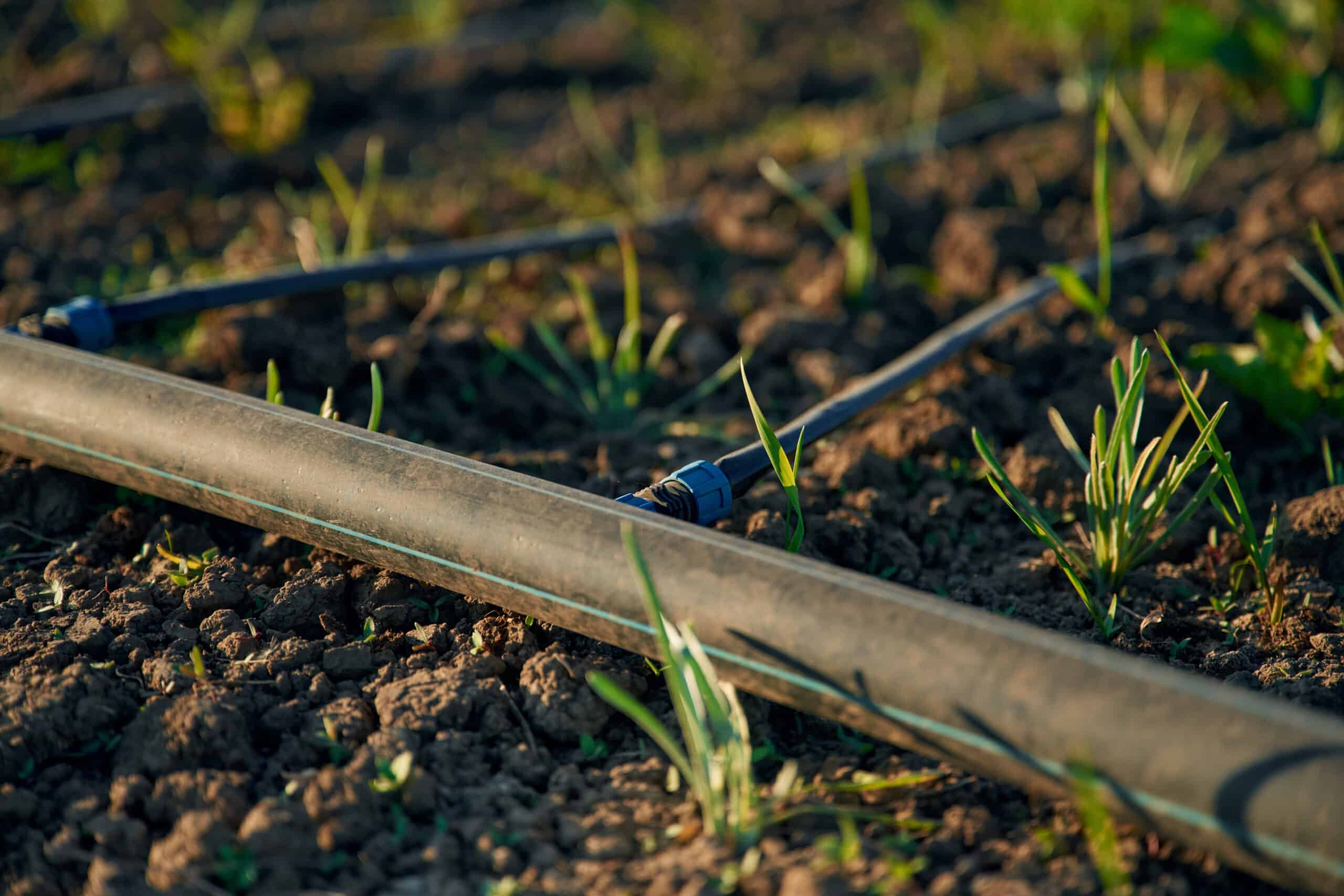 Plastic irrigation tubing and pipes for garden watering systems