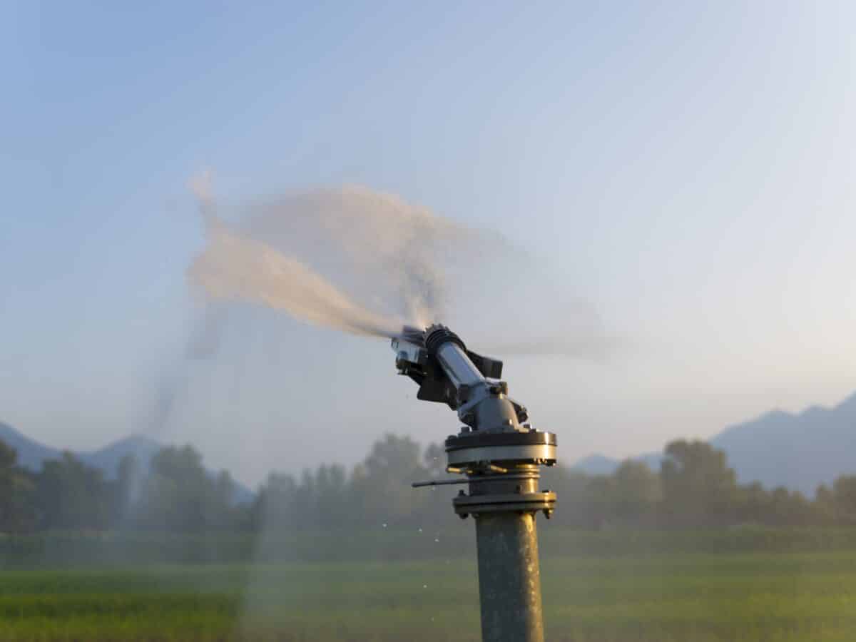 Automatic watering system timer mounted at an outdoor garden spigot