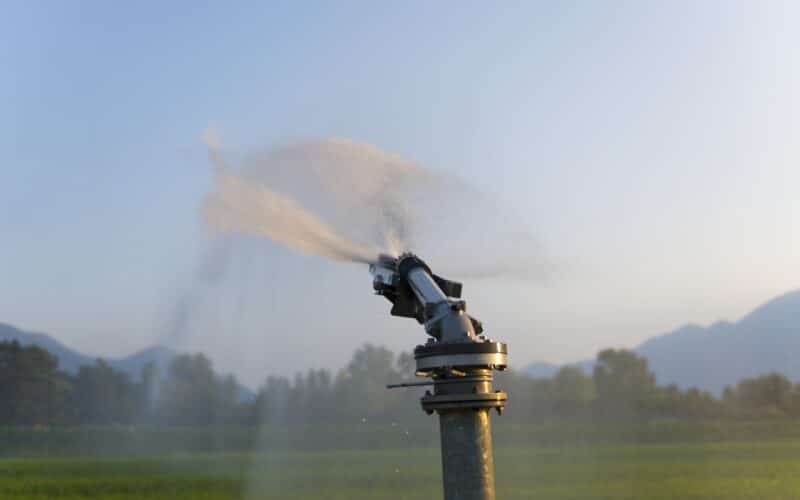 Automatic watering system timer mounted at an outdoor garden spigot