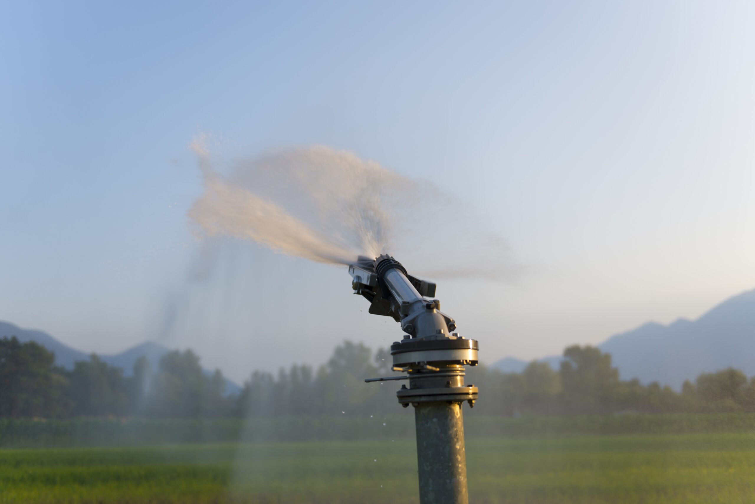 Automatic watering system timer mounted at an outdoor garden spigot