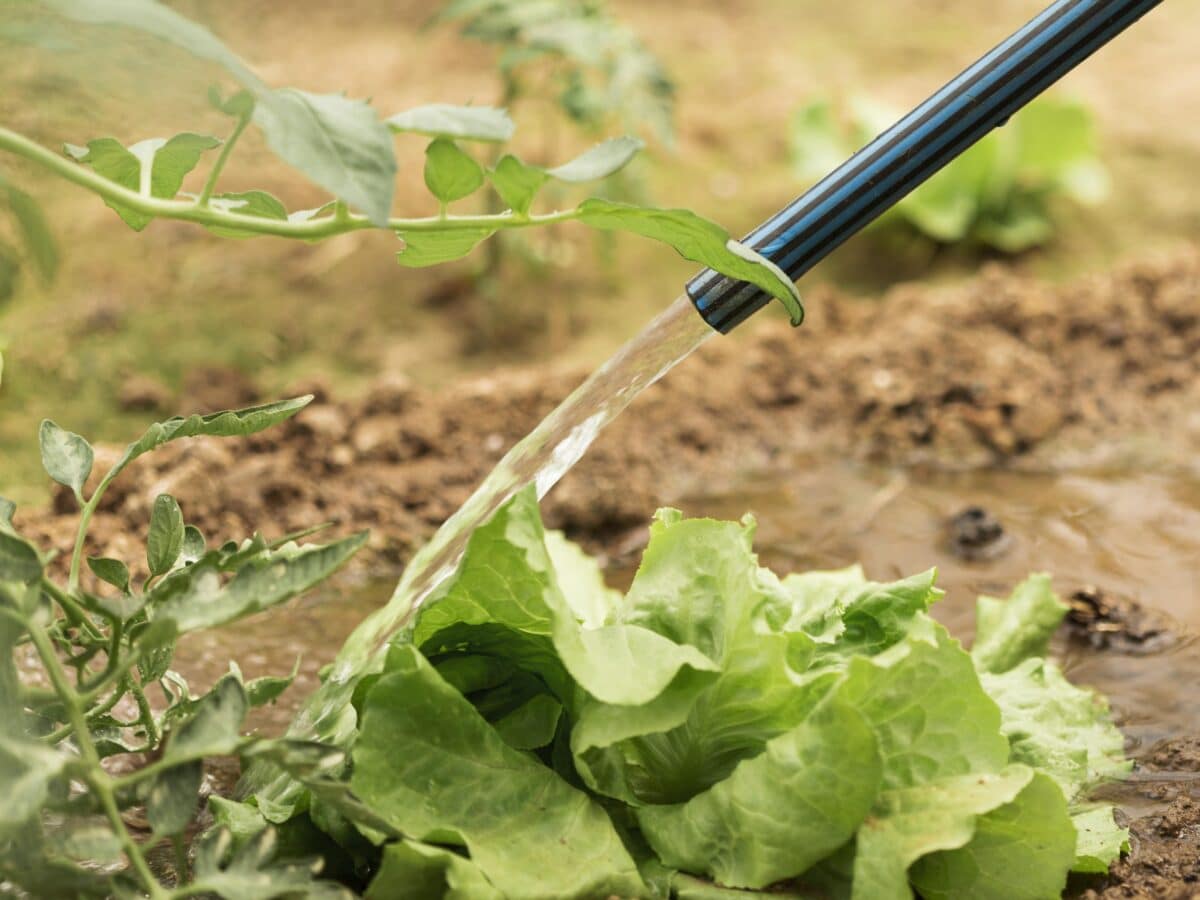 Préparation d'un massif de jardin pour une ligne de tuyau suintant