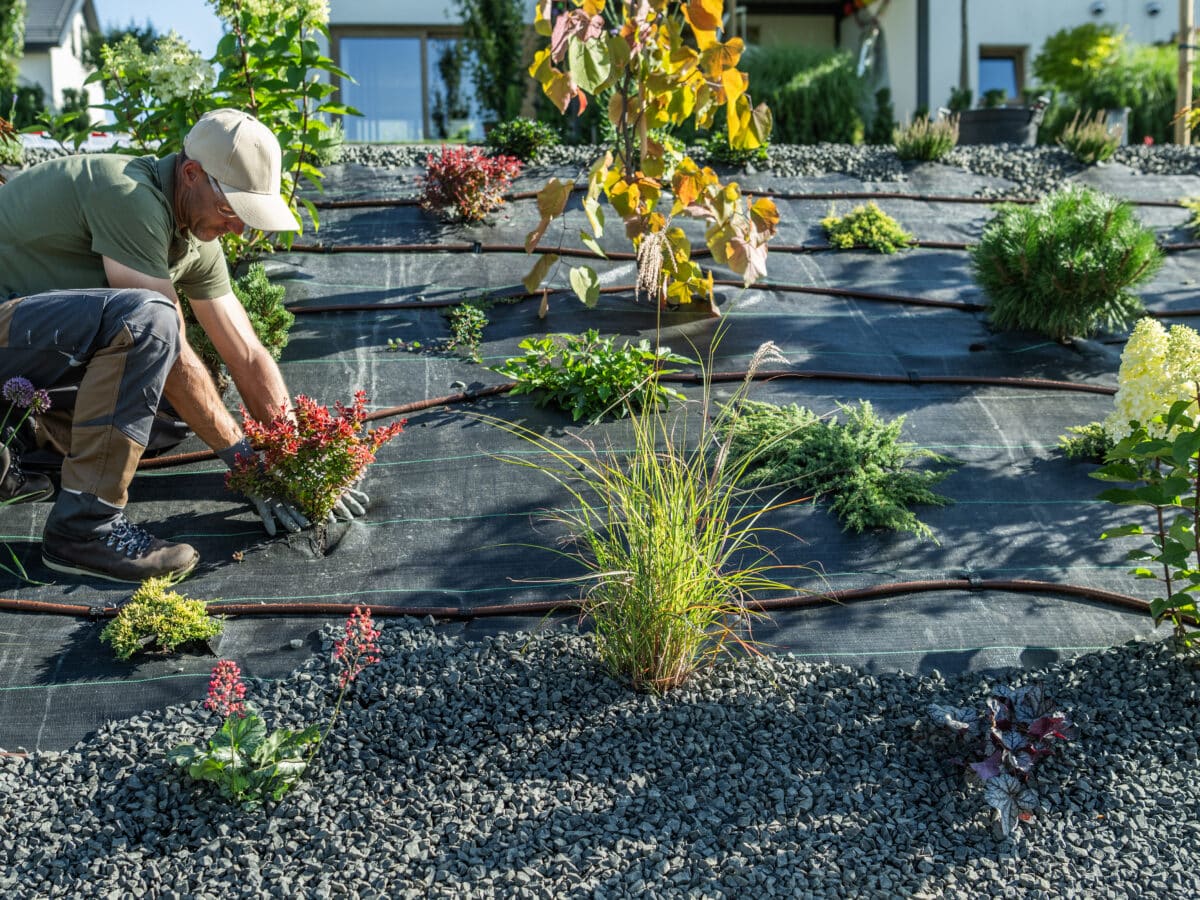 Gardener planting colorful plants alongside a drip irrigation pipeline system
