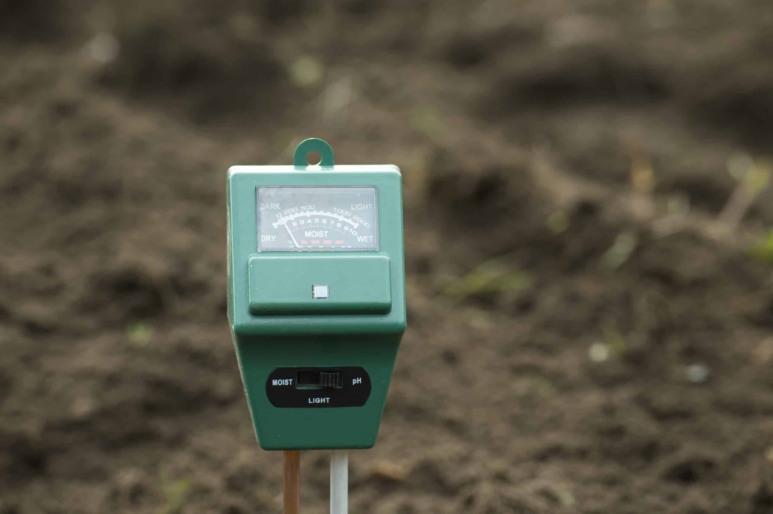 Moisture meter showing damp soil several inches deep near a tree root zone
