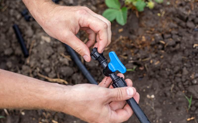 Man connecting a shutoff valve to HDPE supply pipe while converting a sprinkler irrigation zone to drip irrigation