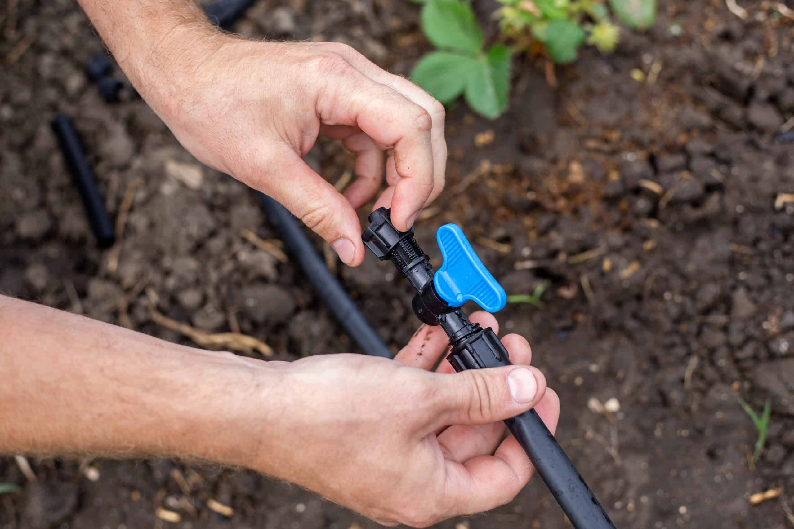 Homme raccordant une vanne d'arrêt à une canalisation d'alimentation en PEHD lors de la conversion d'une zone d'arrosage par aspersion en goutte à goutte
