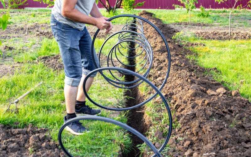 Person laying irrigation tubing into a dug trench for a subsurface drip system