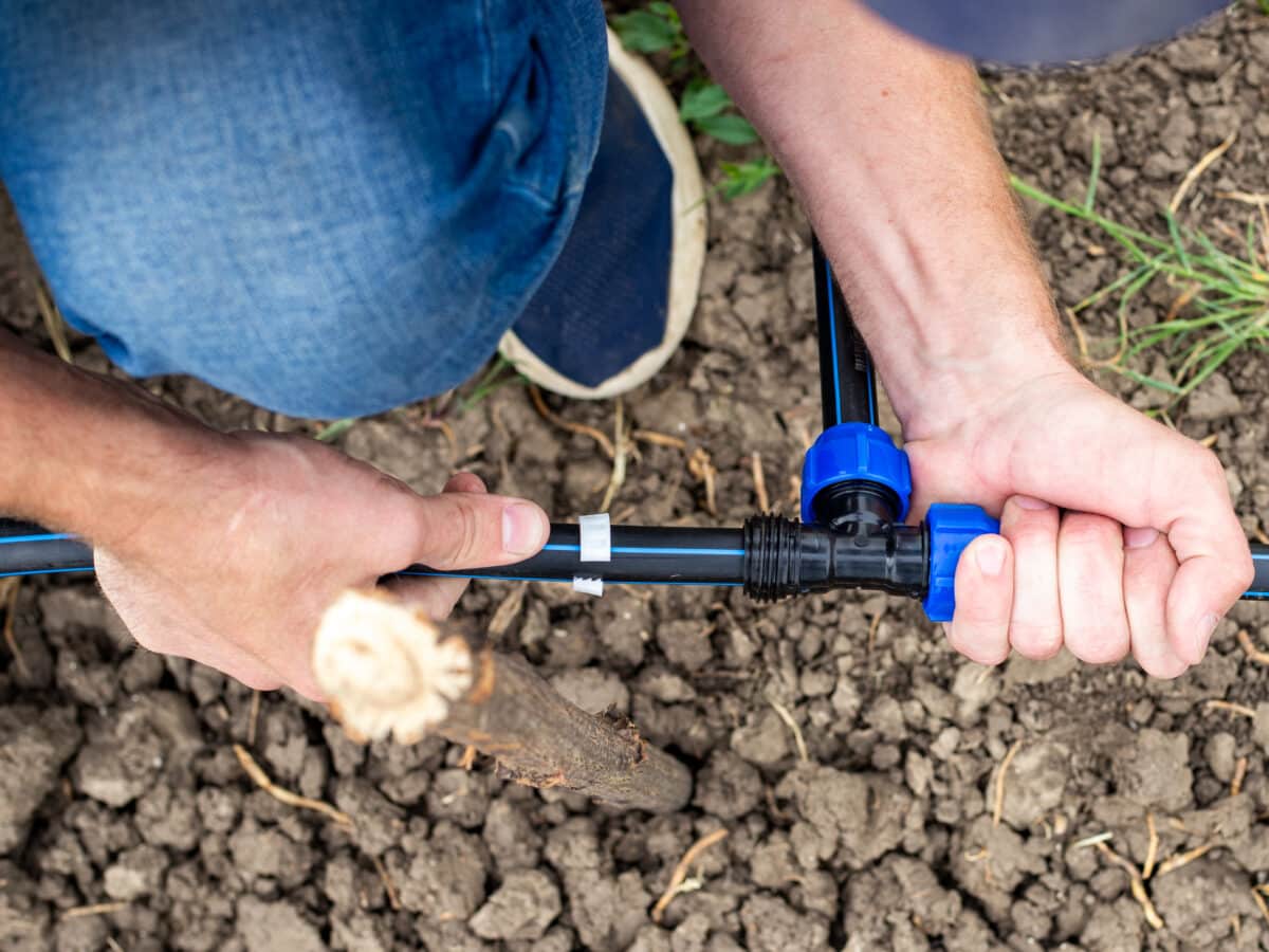 Man's hands fastening an HDPE pipe fitting while installing a drip irrigation line in a garden bed