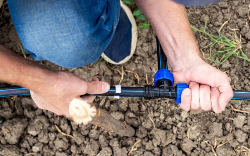 Man's hands fastening an HDPE pipe fitting while installing a drip irrigation line in a garden bed