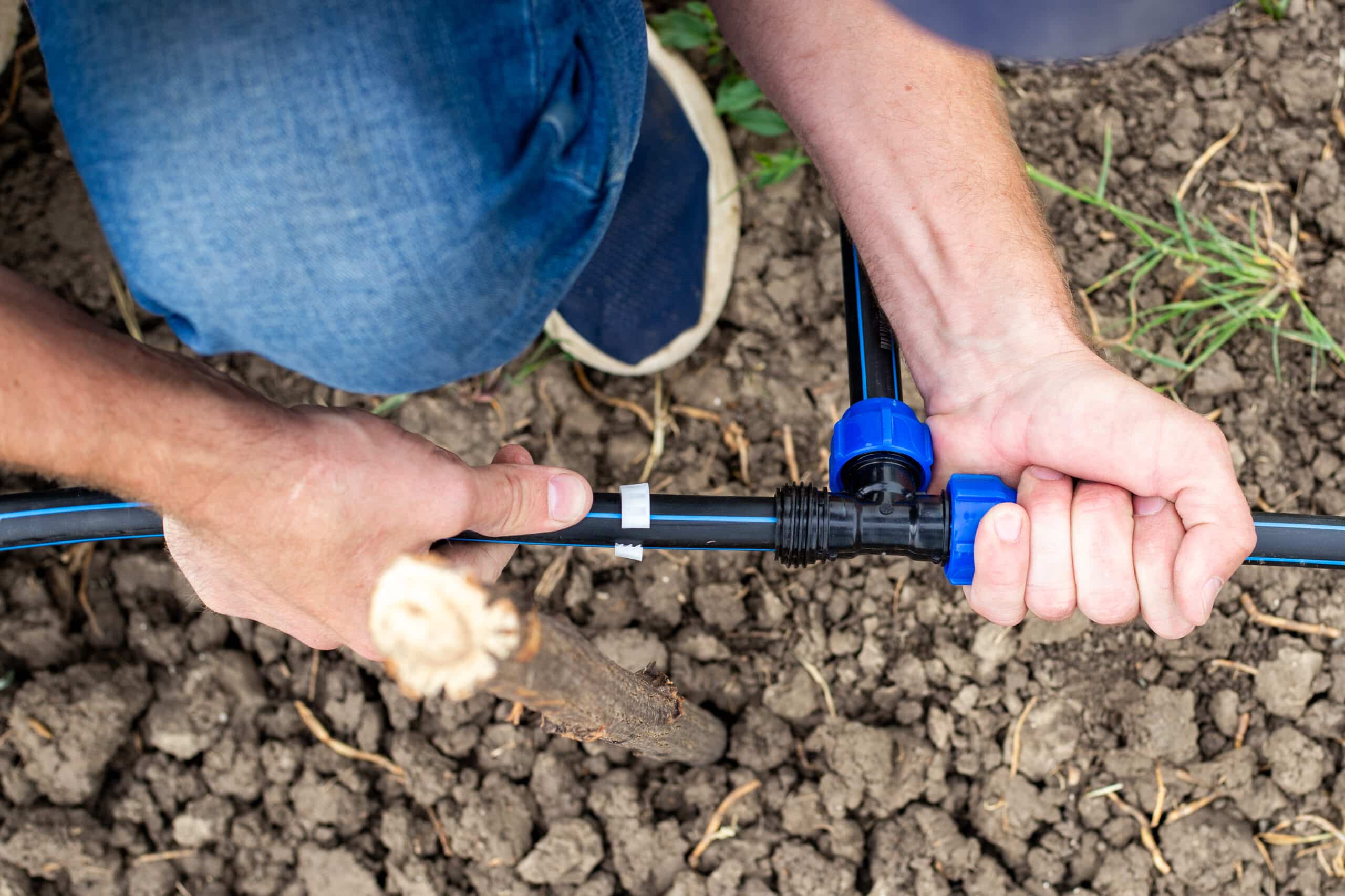 Hands connecting a barbed coupling fitting into black drip irrigation tubing