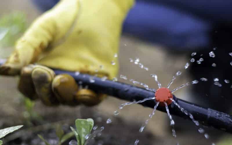 Close-up of a hand holding a drip irrigation line while water runs through it during a system check