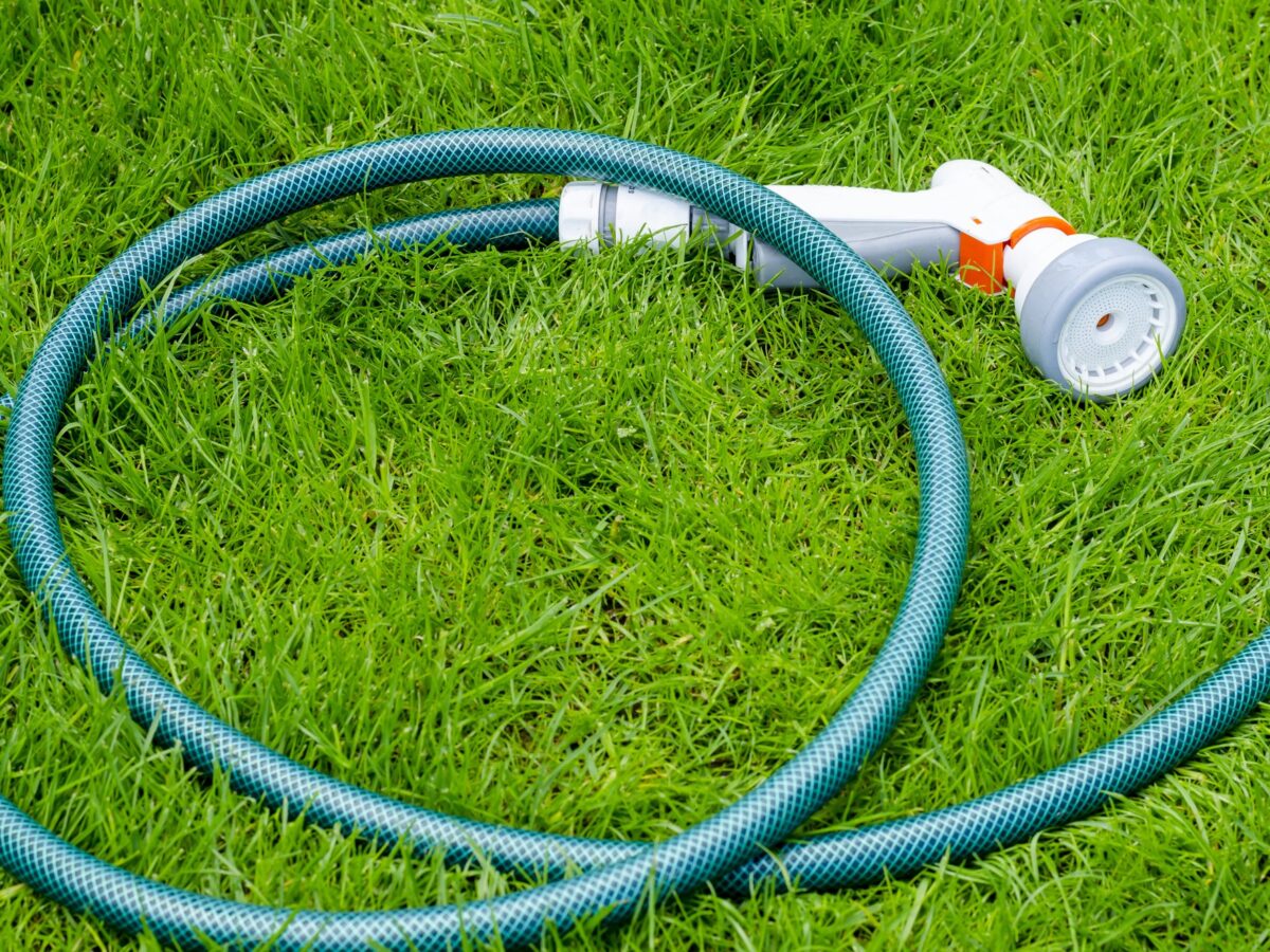Green soaker hose laid in a loop across a patch of lawn grass to water the turf
