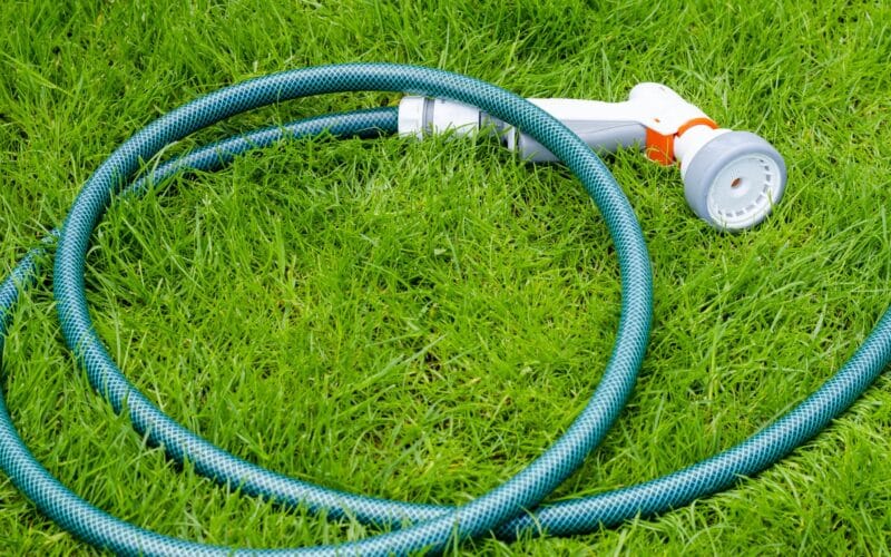 Green soaker hose laid in a loop across a patch of lawn grass to water the turf