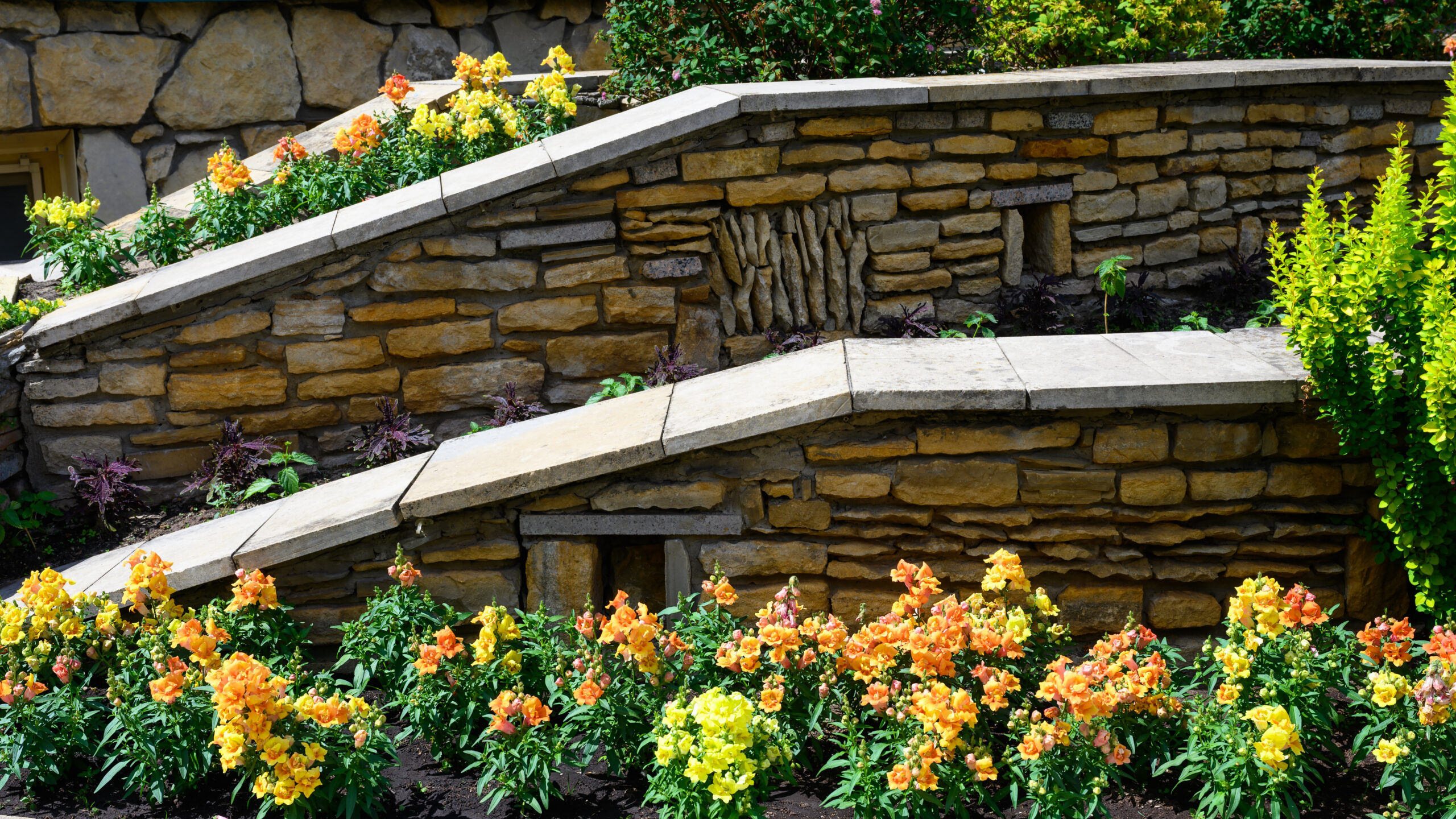 Terraced stone retaining walls holding a sloped backyard flower bed, the kind of layout where drip irrigation needs pressure-compensating emitters to water evenly top to bottom